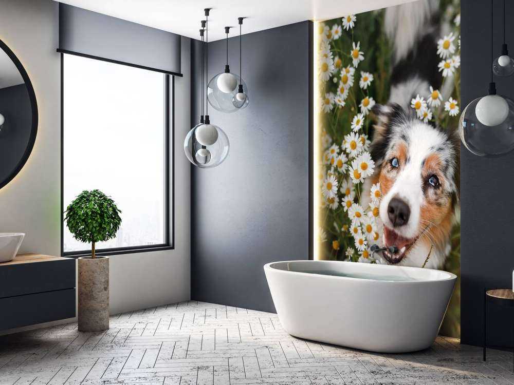 Australische herder tussen de bloemen