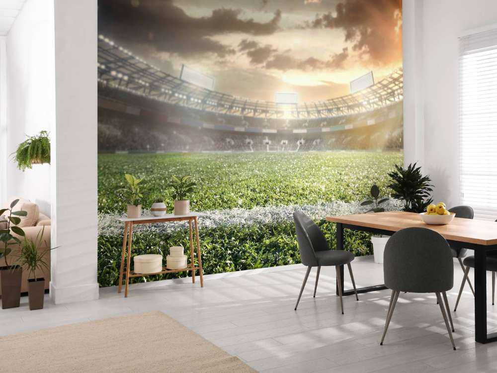 Stadion met kunstgras