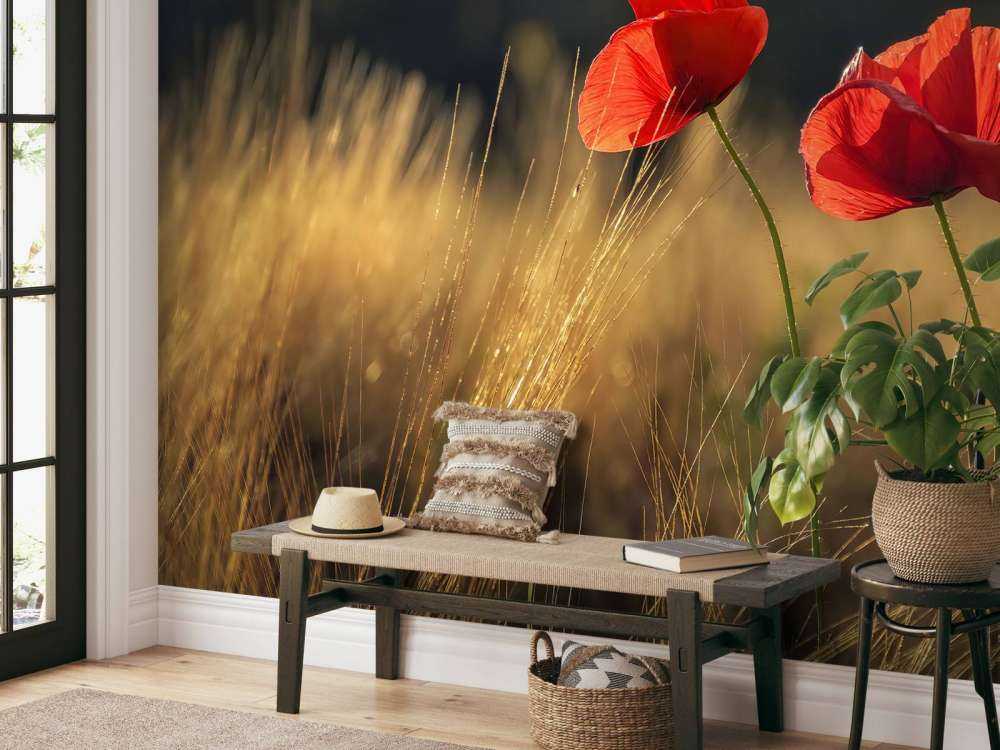 Klaprozen in een tarweveld