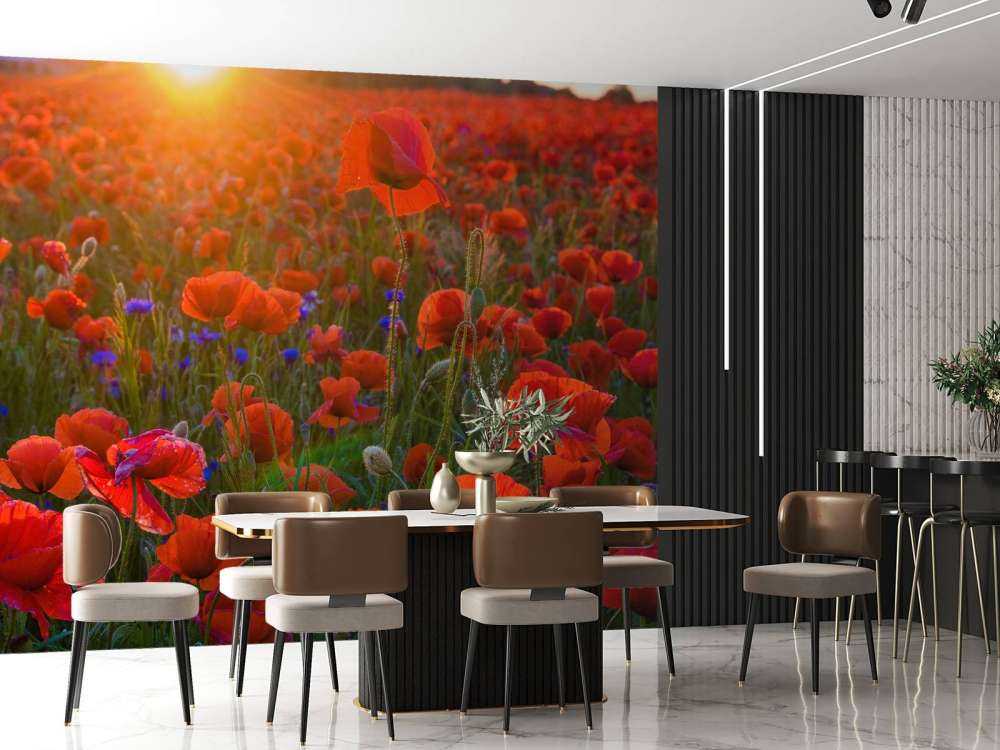 Klaprozen met opkomende zon