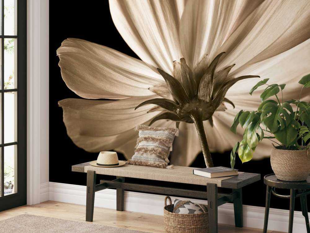 Cosmos bloem van onderen