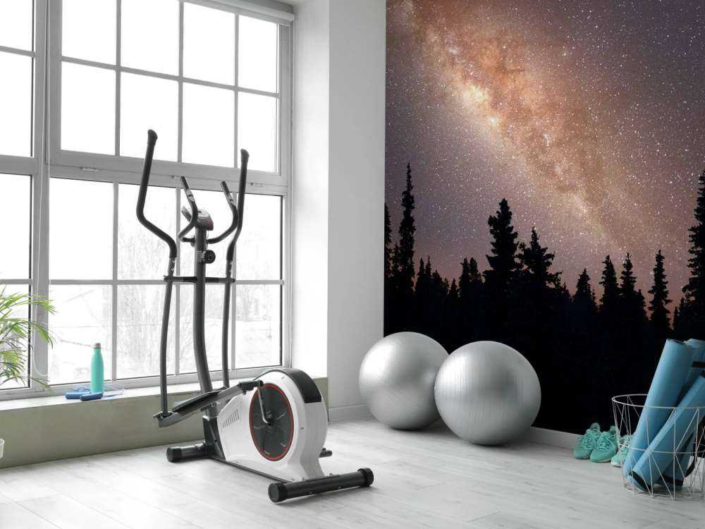 Melkweg boven silhouet van bomen