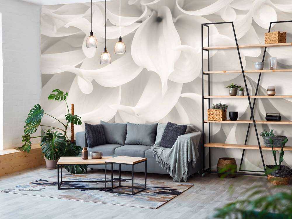 Close-up van Dahlia bloem