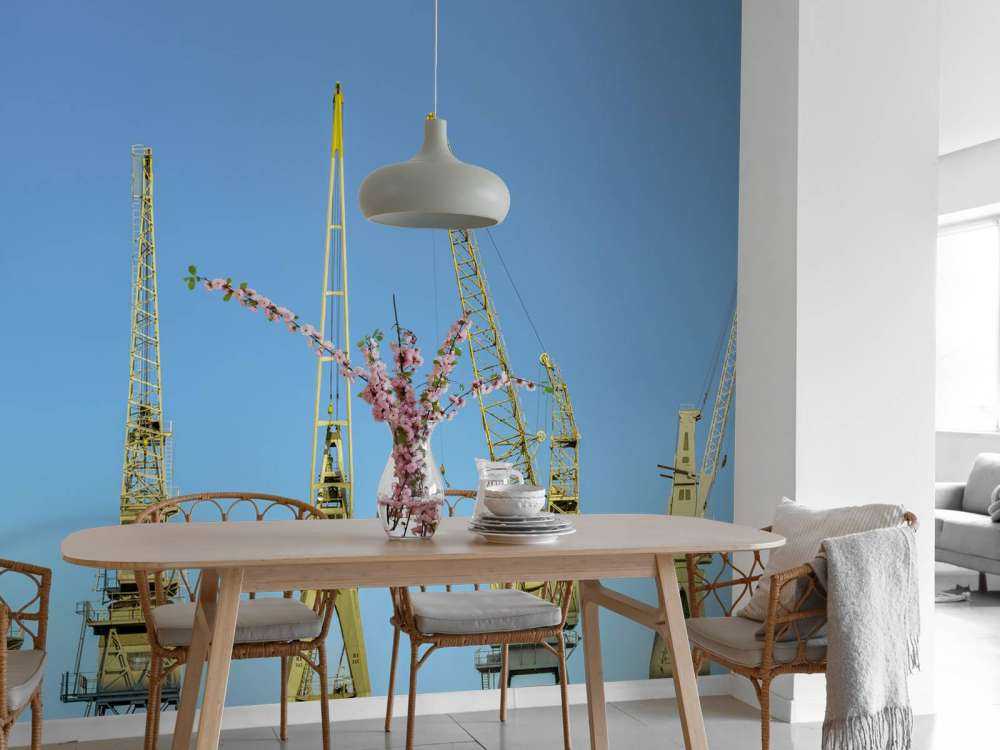 Kranen in de haven van Antwerpen