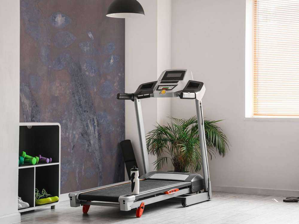 Schapenzuring en struikwilg - aubergine