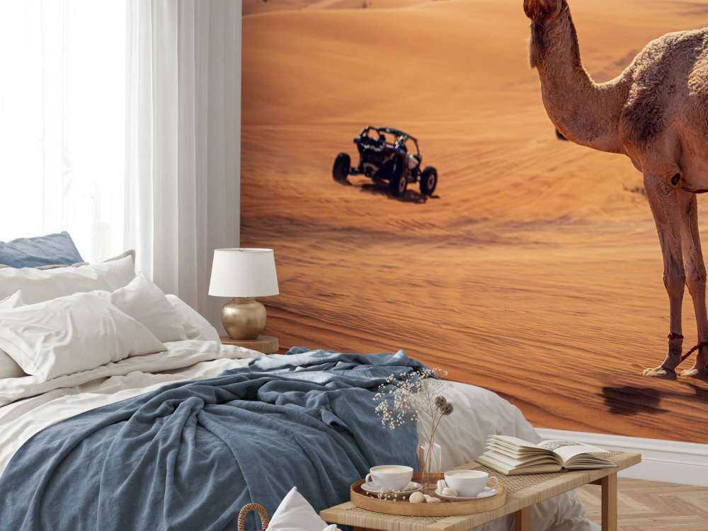 Offroad avontuur in de woestijn