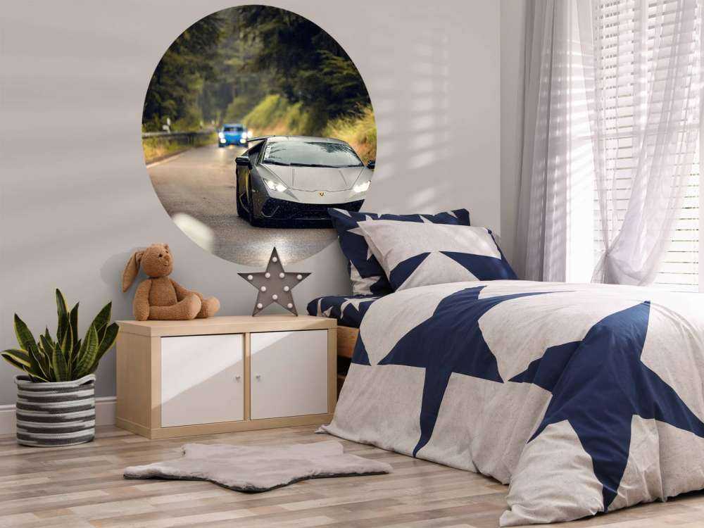 Matgrijze Lamborghini in de natuur