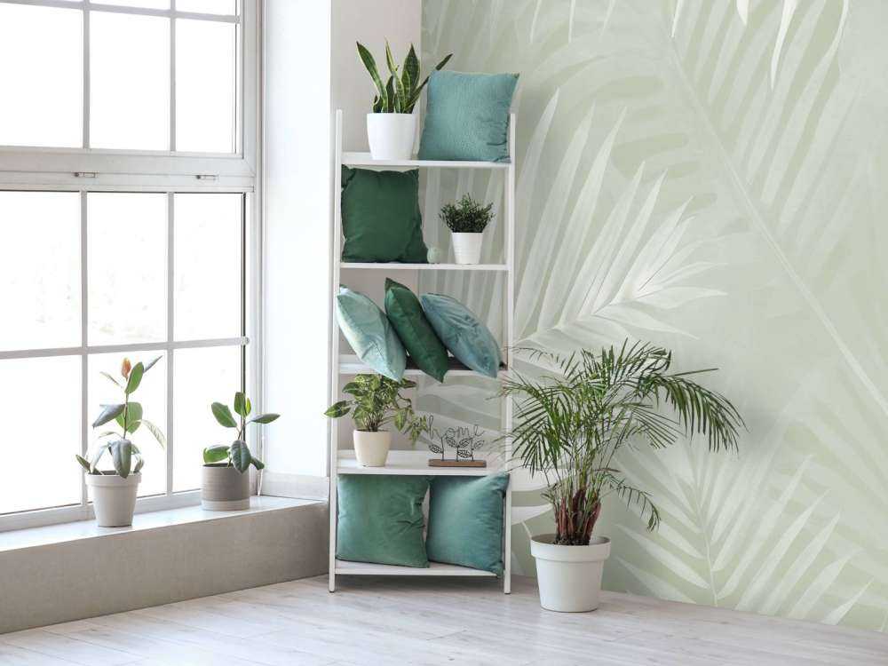 Foggy palm leaves Green