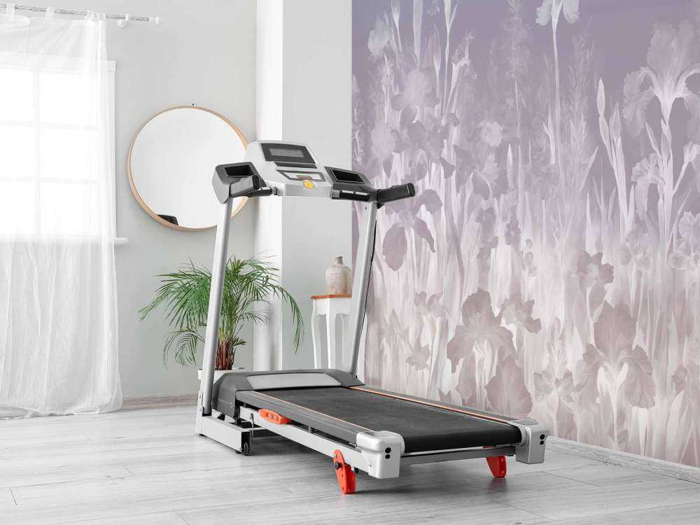 Fragrant spring Lavender