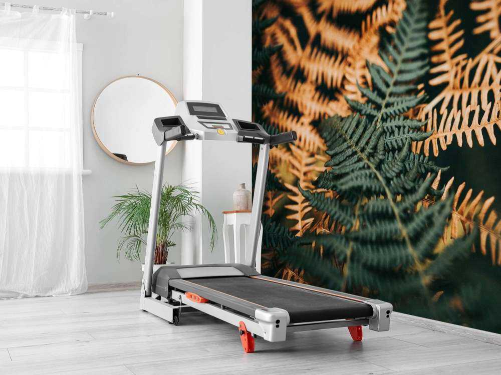 Diepgroene en Gouden Varens