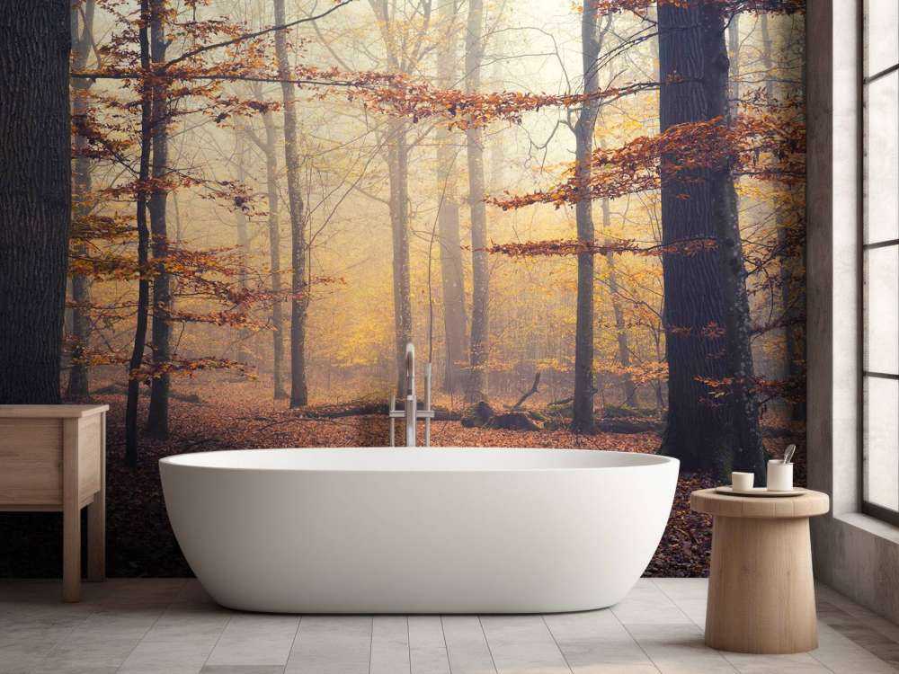 Herfstbos in Gouden Mist