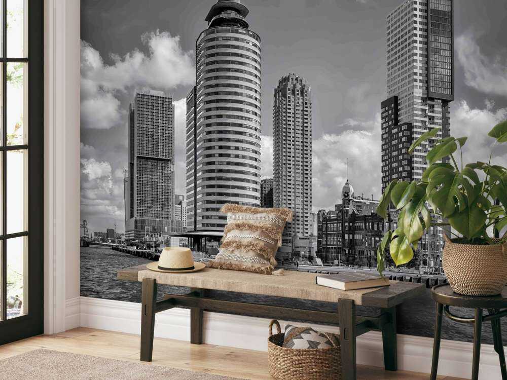 Zwart-Wit Contrast op de Kop van Zuid