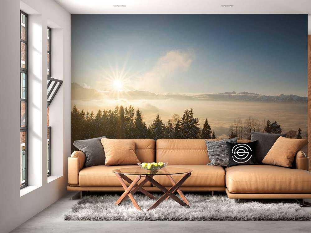 Zonsopkomst boven besneeuwd dennenbos