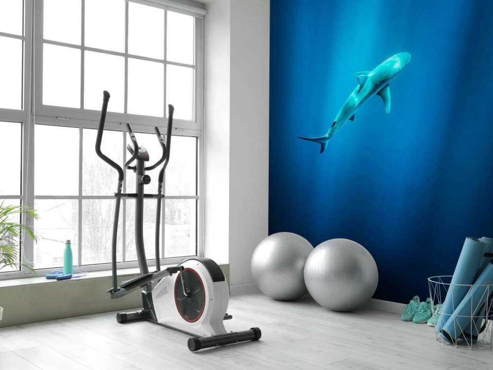 Haai in diepblauw oceaanlicht