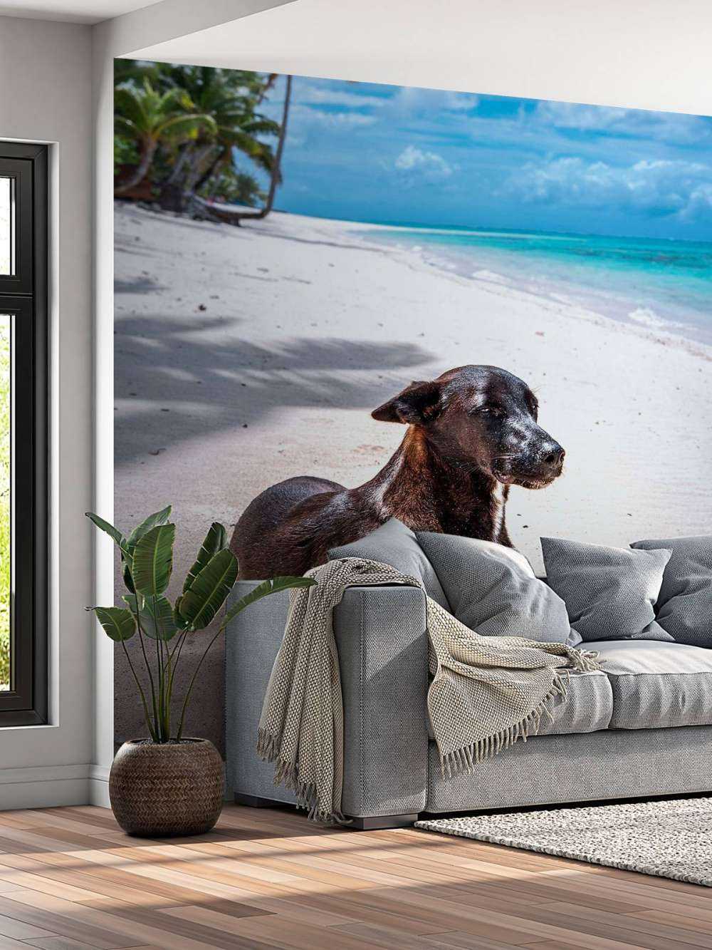 Zwarte hond aan tropisch strand