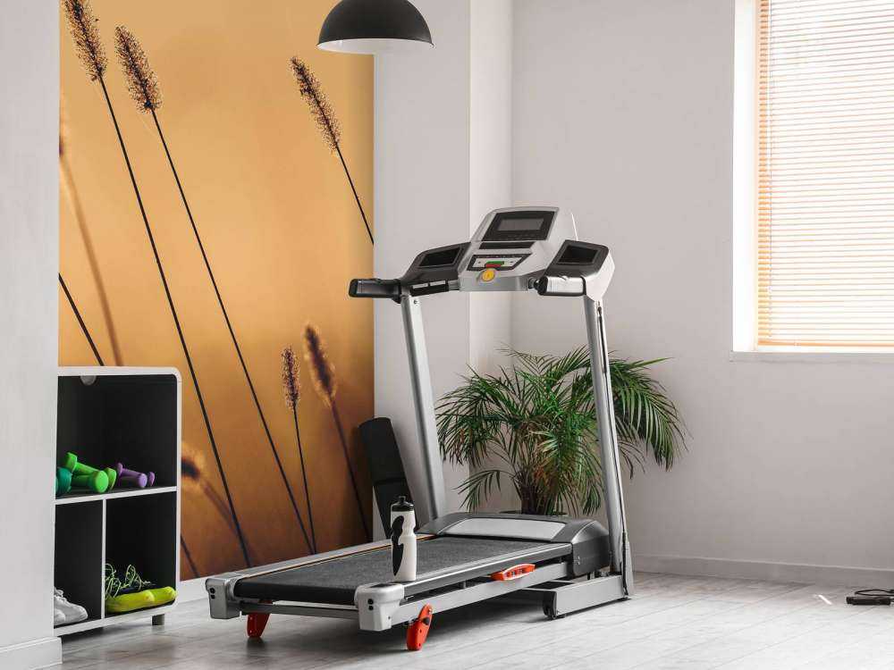 Fluisterend Gras in de Ochtendzon