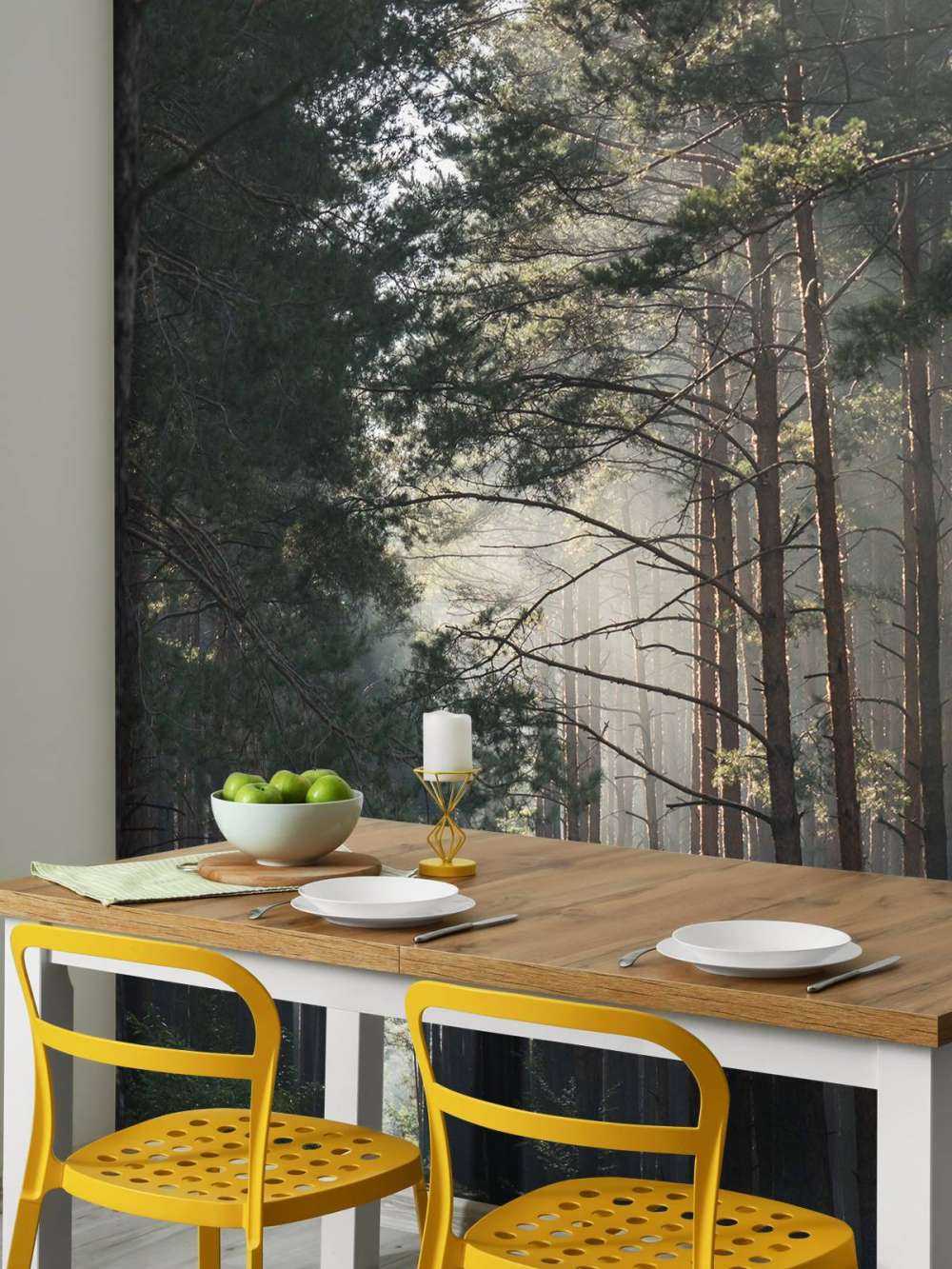 Herfstgloed in het Woud