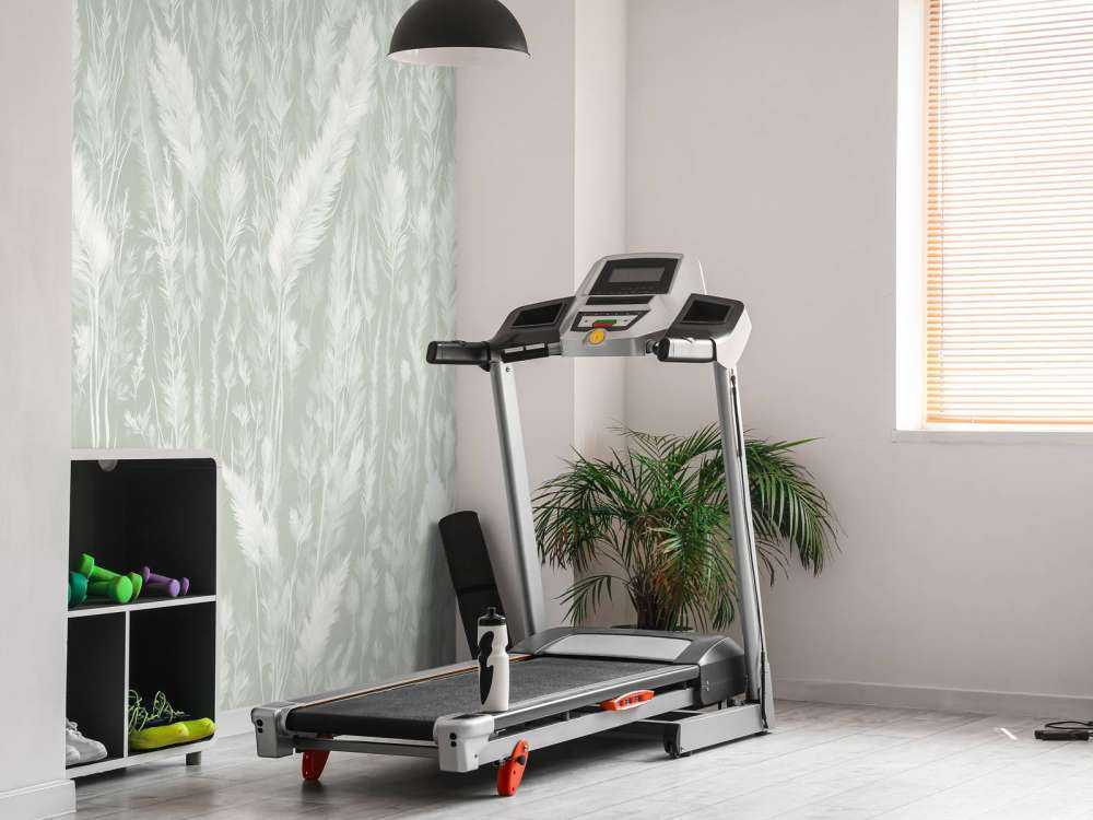 Wall of field grasses - green