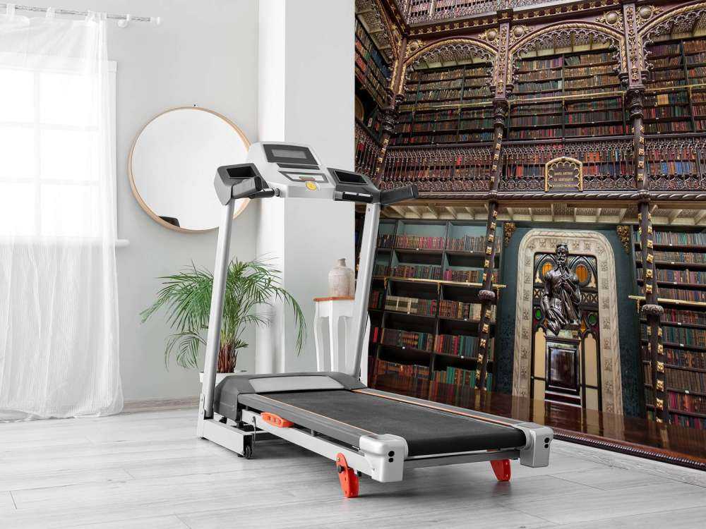 Gotische Literatuurhal