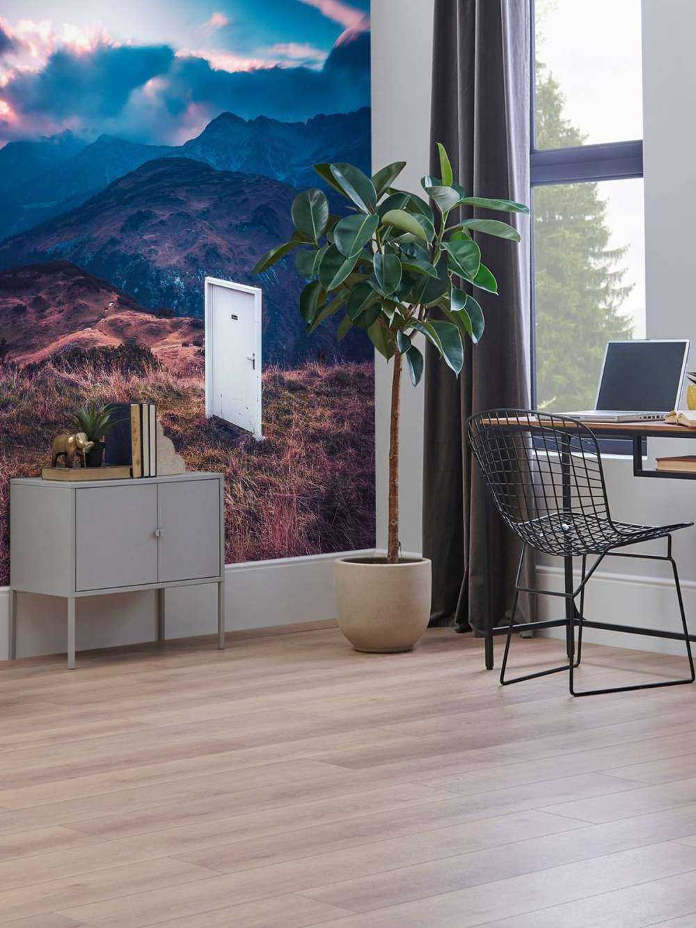 Witte Deur In Droomlandschap