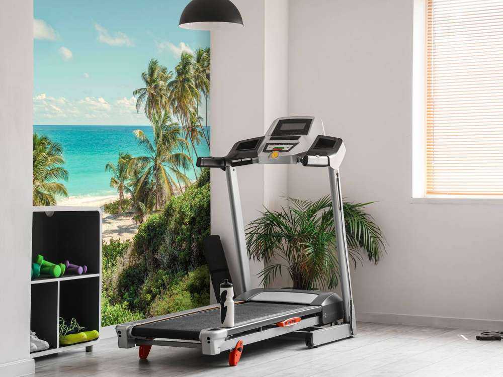 Palm trees on beach in Barbados