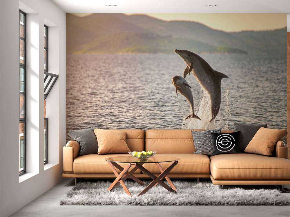 Twee springende dolfijnen