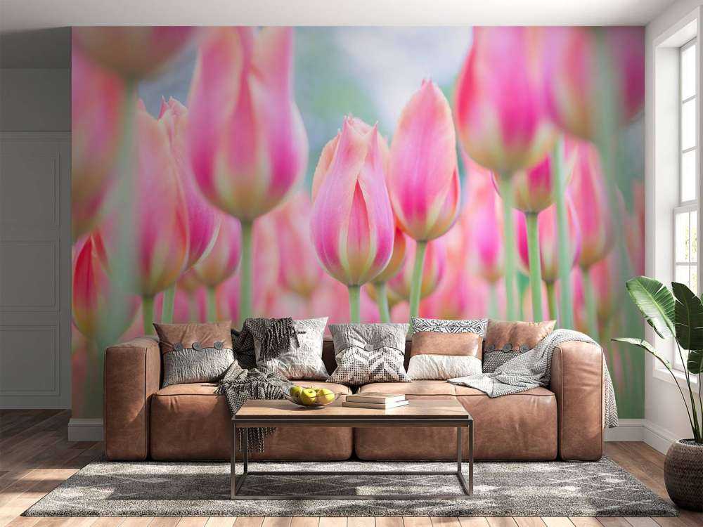Close-up roze tulpen