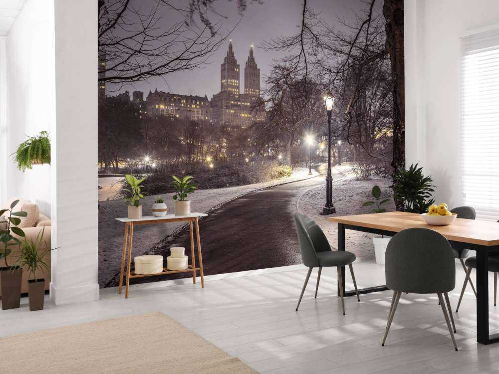 Besneeuwd Central park