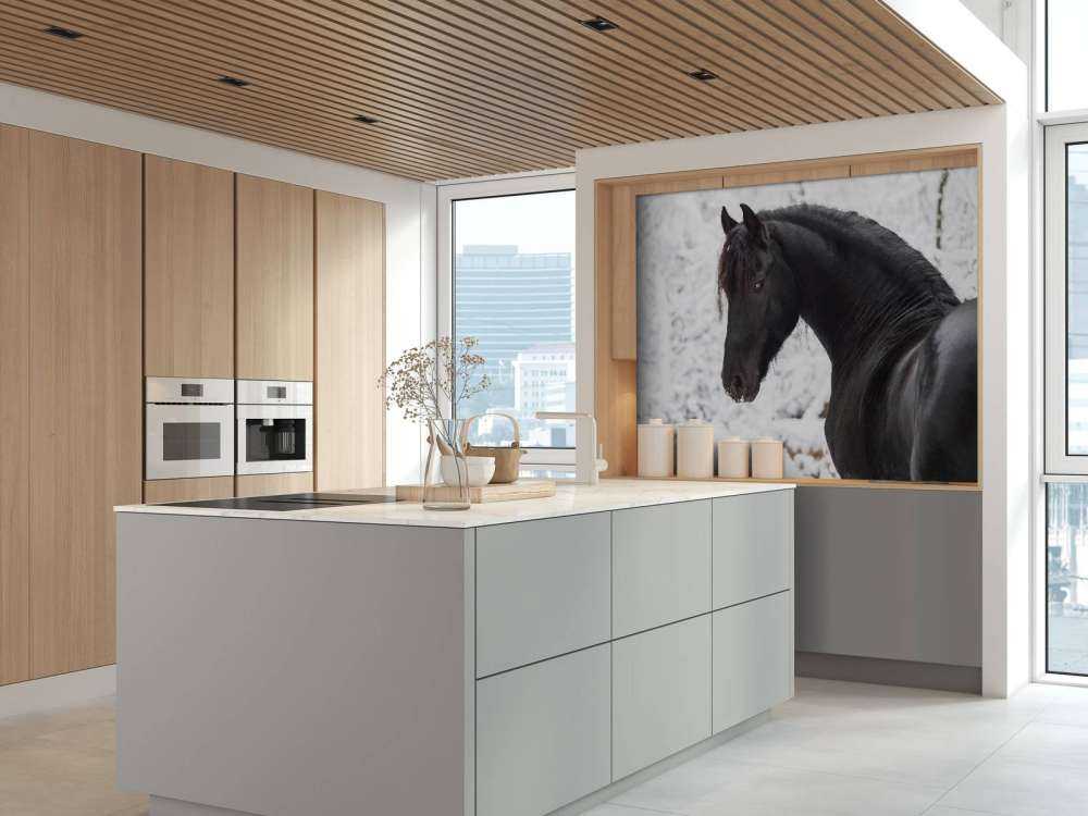 Fries Paard in de sneeuw