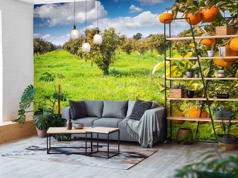 Sinaasappelbomen in Sicilië