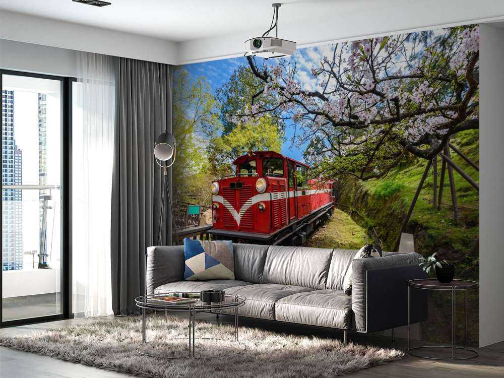 Rode trein door een parkje