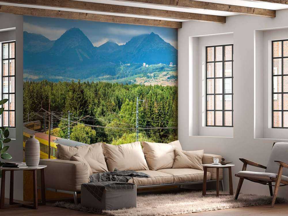 Trein door een bos in Slowakije