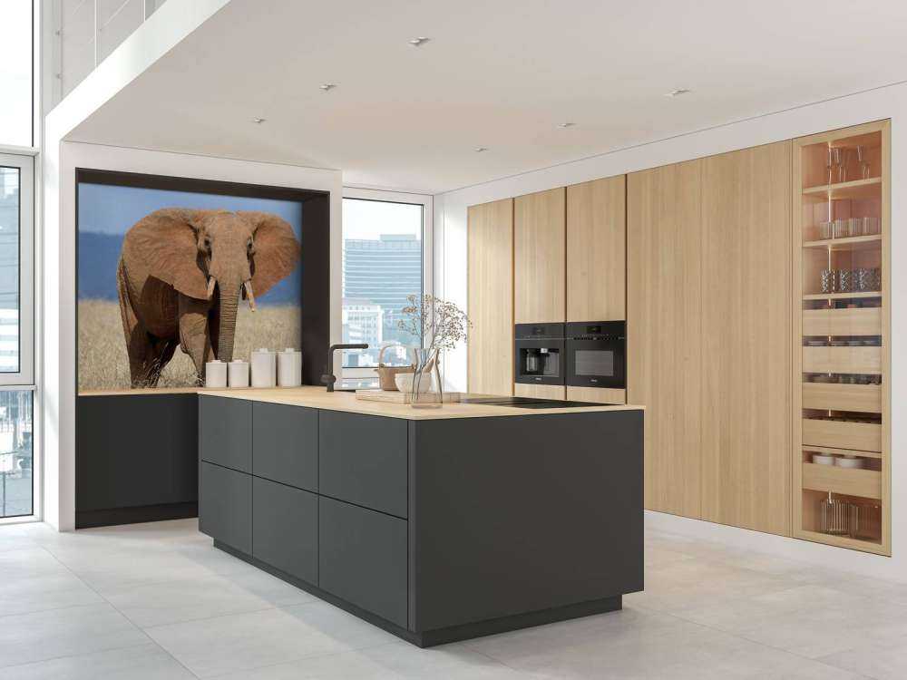 Grote olifant in hoog gras