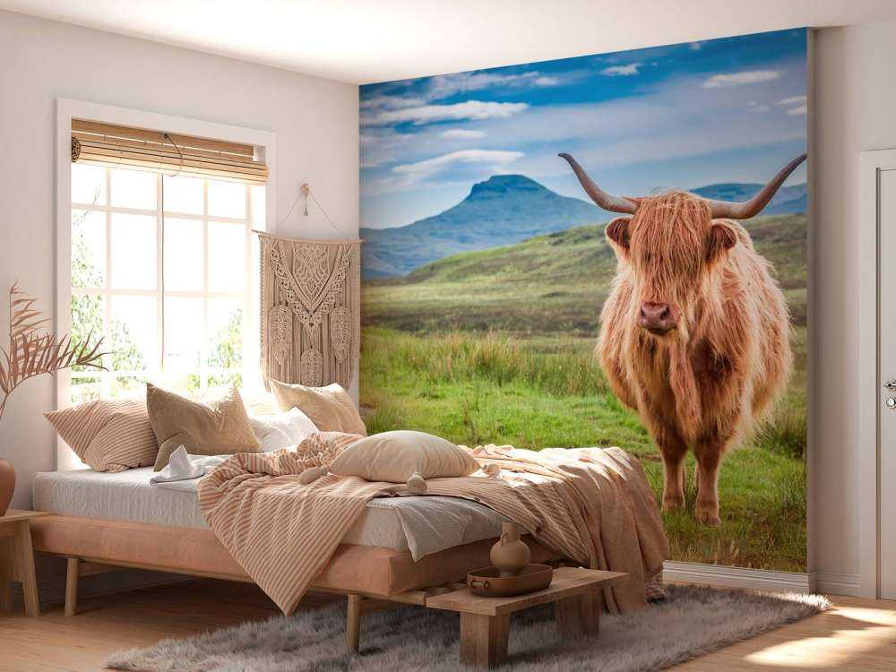 Schotse Hooglander in een berglandschap