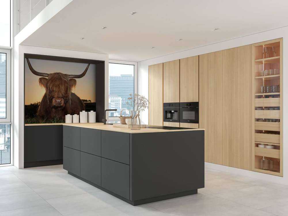 Schotse Hooglander in het gras bij zonsondergang