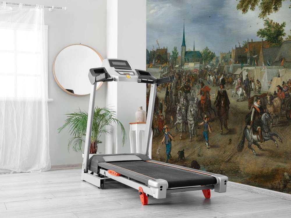 Prins Maurits en Frederik Hendrik op de paardenmarkt van Valkenburg