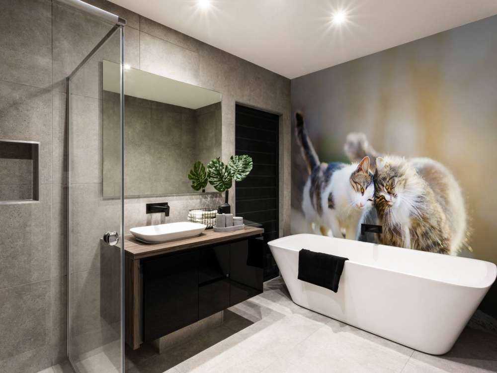 Twee schattige katjes