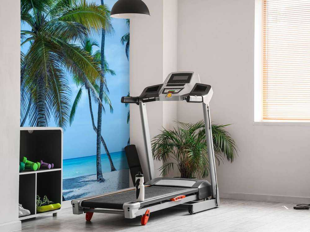 Palmbomen op een Caribisch eiland