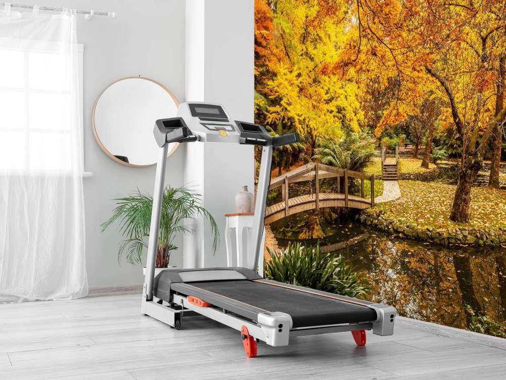 Australisch parkje in de herfst