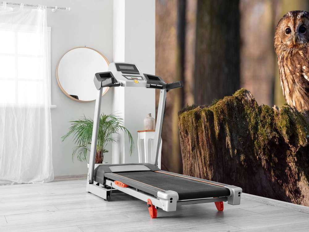 Uiltje op een afgebroken boom