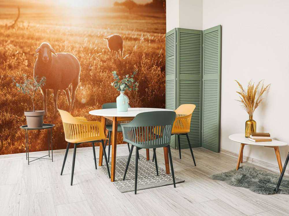 Schaap in prachtig weiland