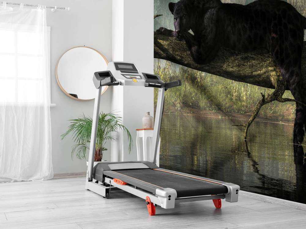 Panter op een boomstronk