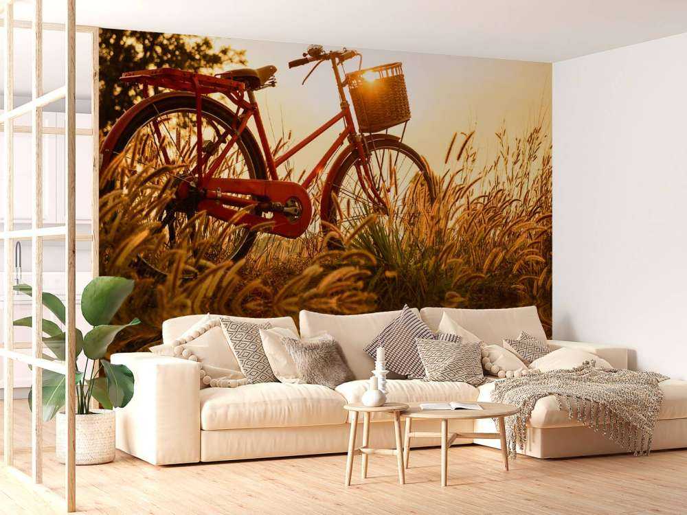 Fiets bij zonsondergang