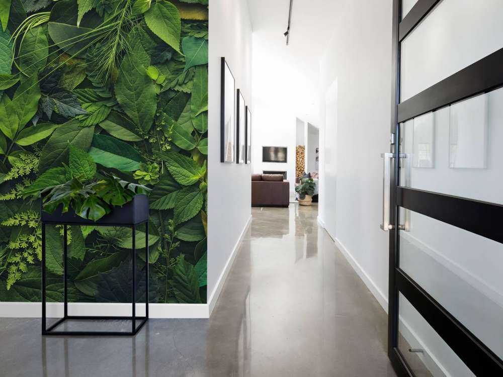 Achtergrond van bladeren