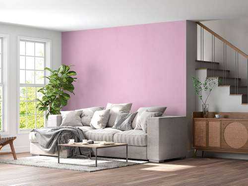 Koningin roze beton