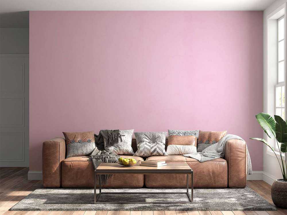 Koningin roze beton