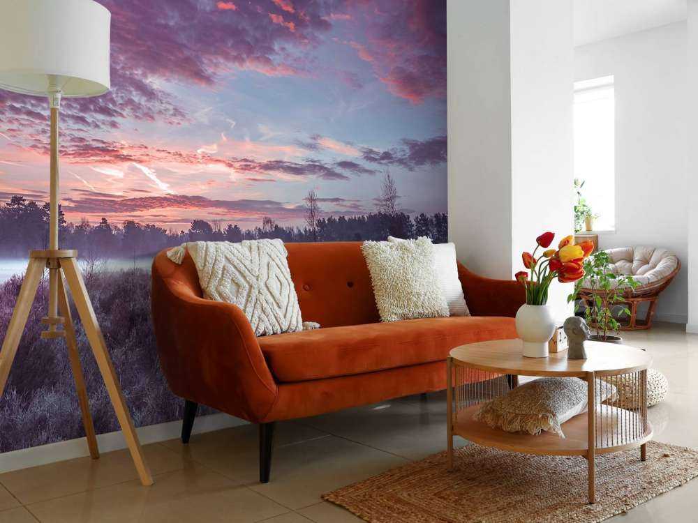 Weiland onder wolkenlucht