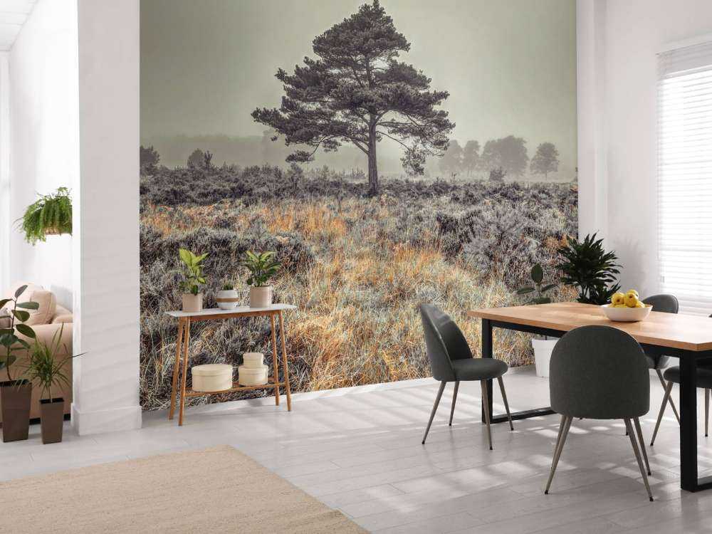 Boom op het platteland