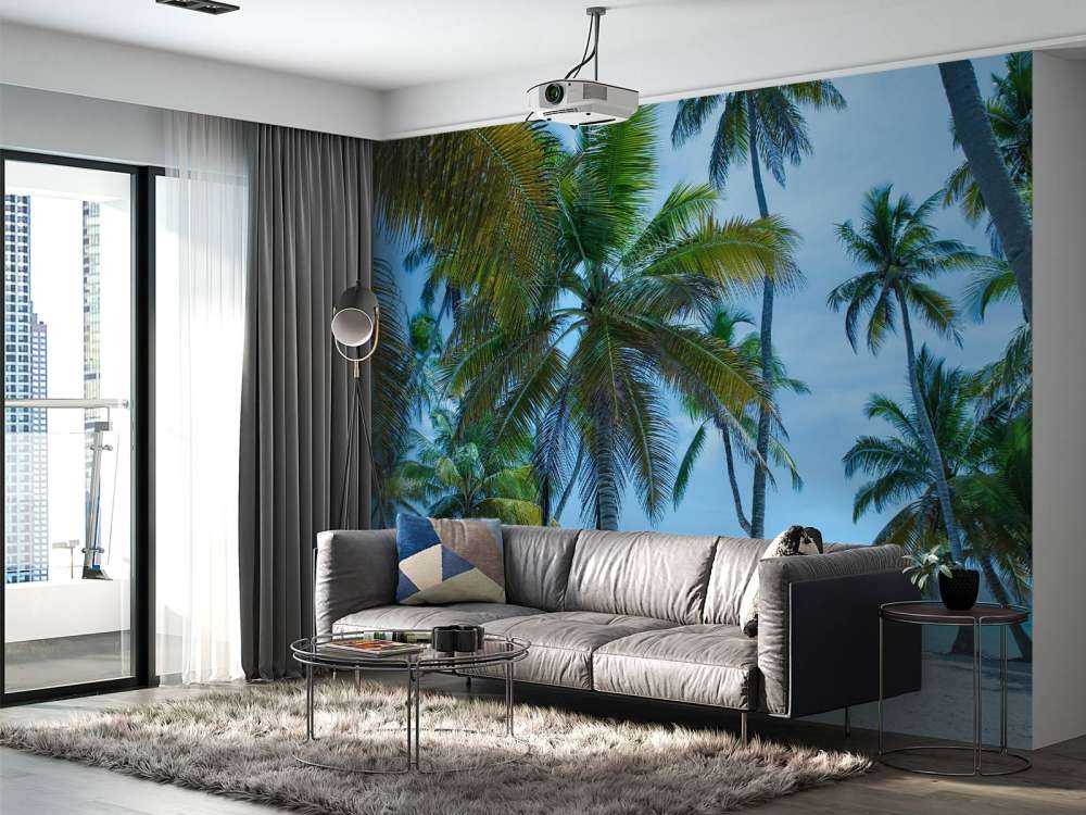 Palmbomen op een Caribisch eiland