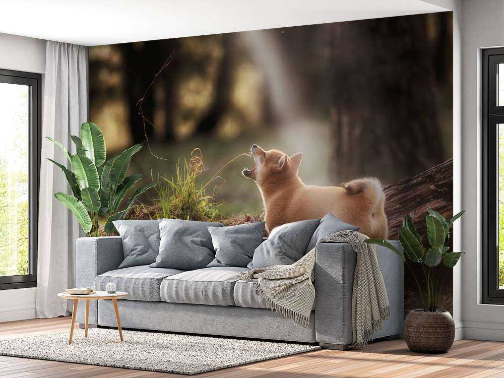 Shiba Inu in het bos